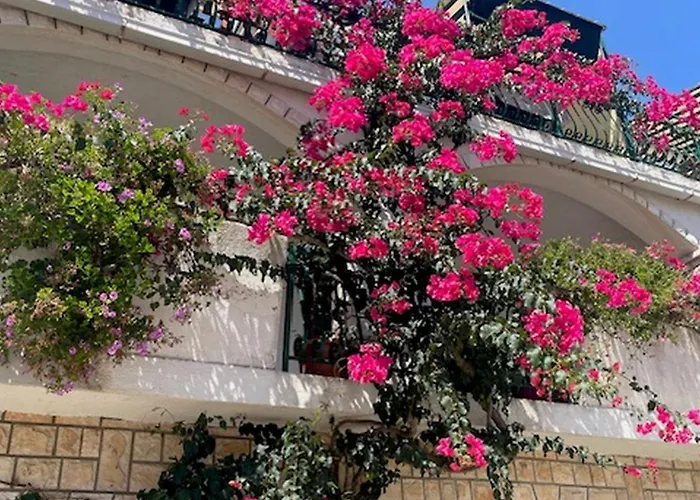 By The Sea Zaklopatica - - 13214 Appartamento Lastovo